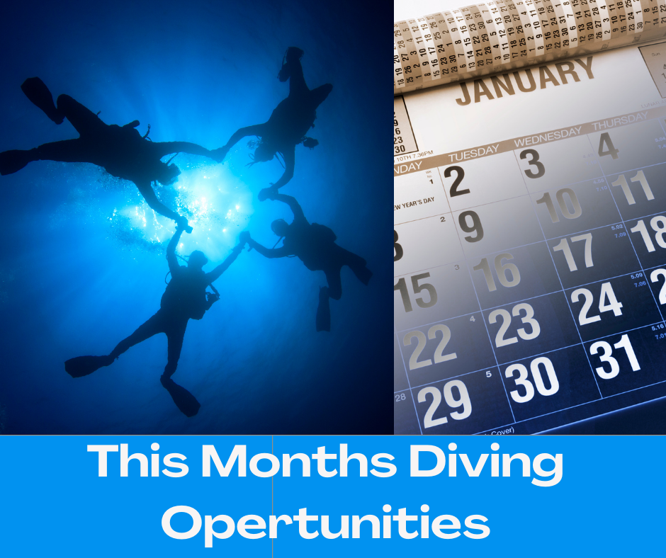 Have a look at our Scuba Diving Opertunities