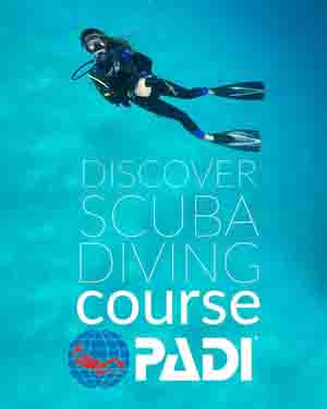 PADI discover Scuba Diving (Try Dive)
