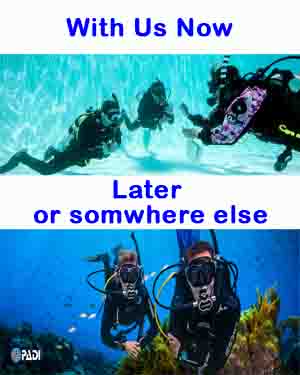 Outgoing PADI Open Water Referal