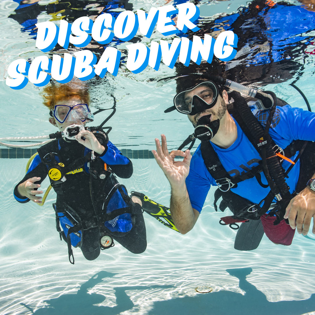 Learn to Scuba Dive with the PADI Discover Scuba Diving Course