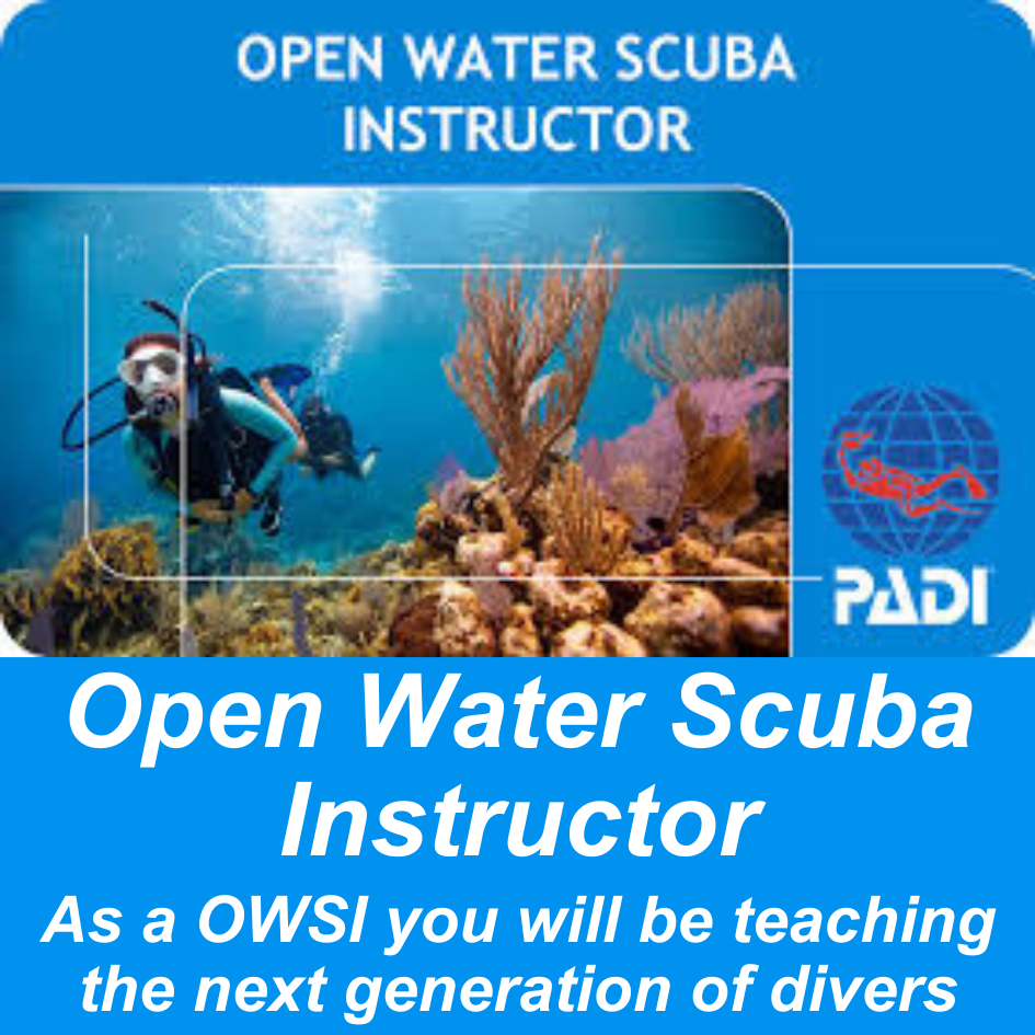 PADI IDC Stafff Instructor