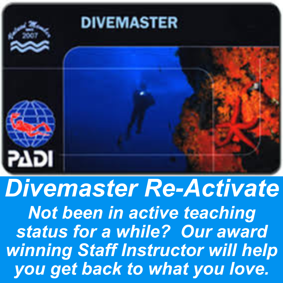Divemaster Re-Activate