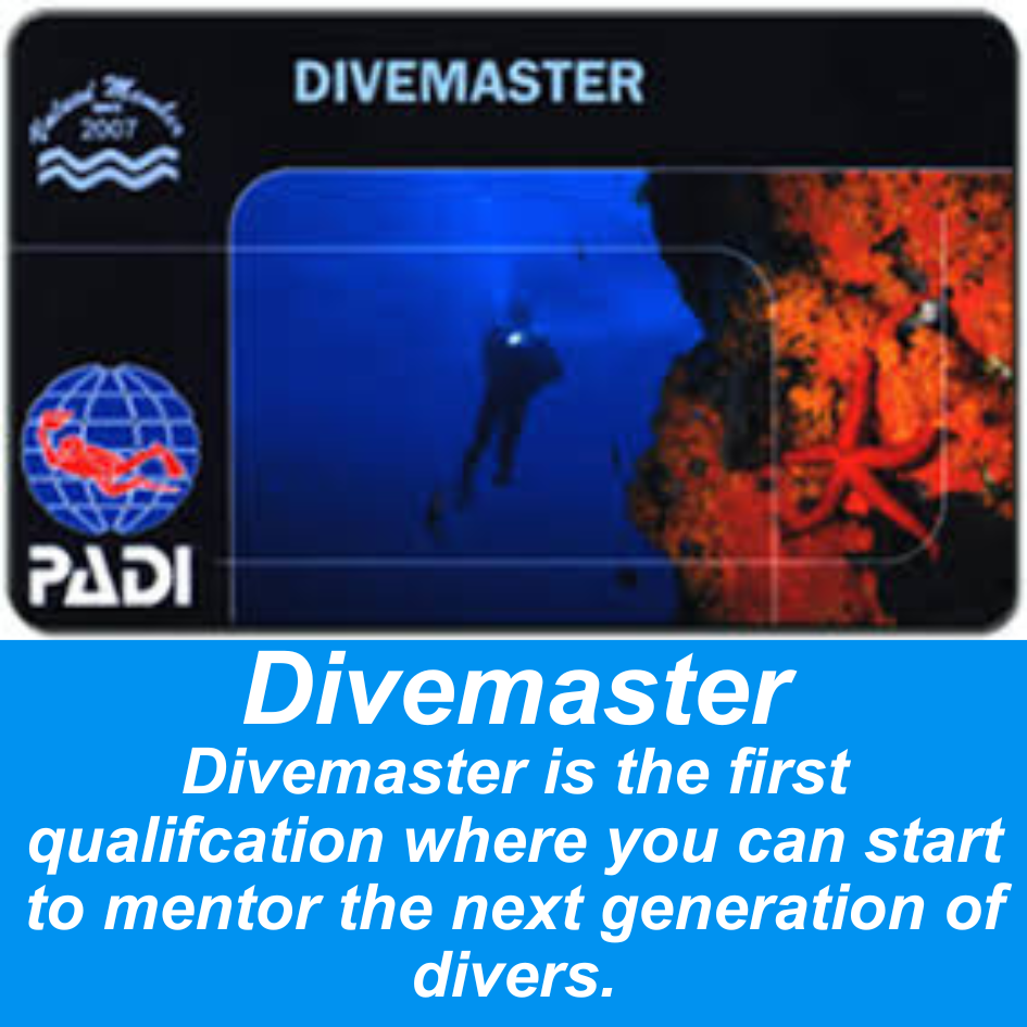 Become a PADI Divemaster