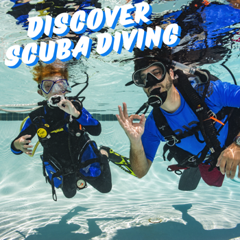 Learn to Scuba Dive with the PADI Discover Scuba Diving Course