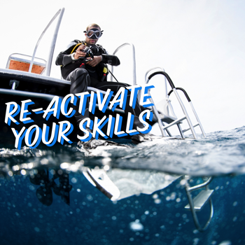 Re-Activate your scuba diving skills
