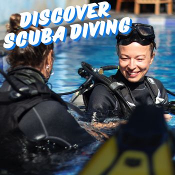 Learn to Scuba Dive with the trydive session