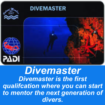 Become a PADI Divemaster