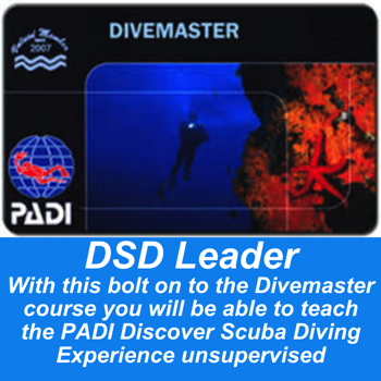 Divemaster DSD Leader