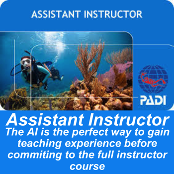 Become a PADI Open Water Scuba instructor