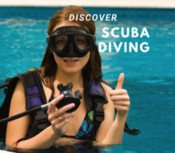Try Diving with PADI Discover Scuba Dive