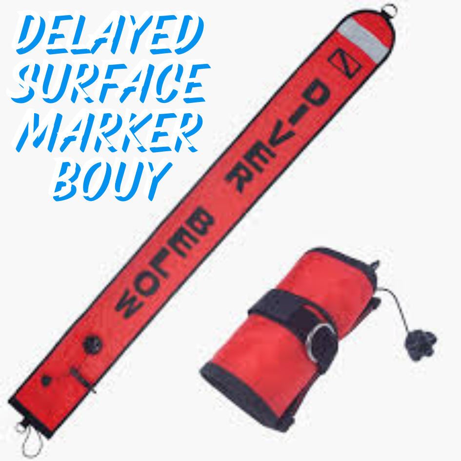 PADI Delayed Surface Maker Speciality Course
